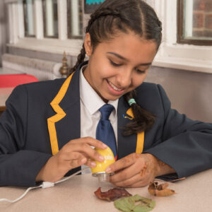 TTS Easi-Scope vikerkaaremikroskoop 6 tk