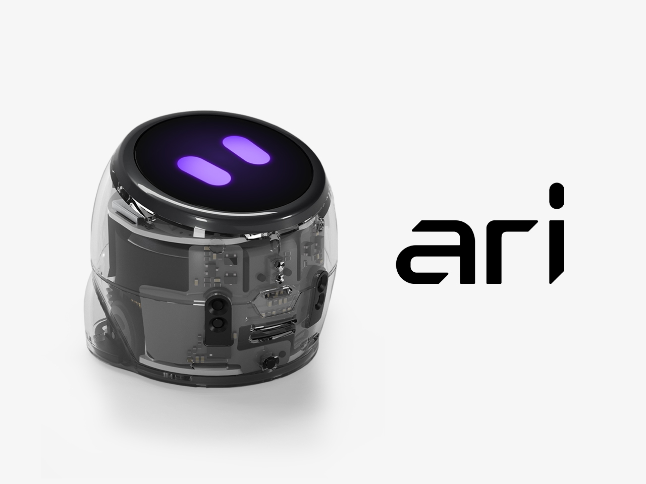 Ozobot Ari roboti stardikomplekt 1 Ozobot Ari roboti stardikomplekt