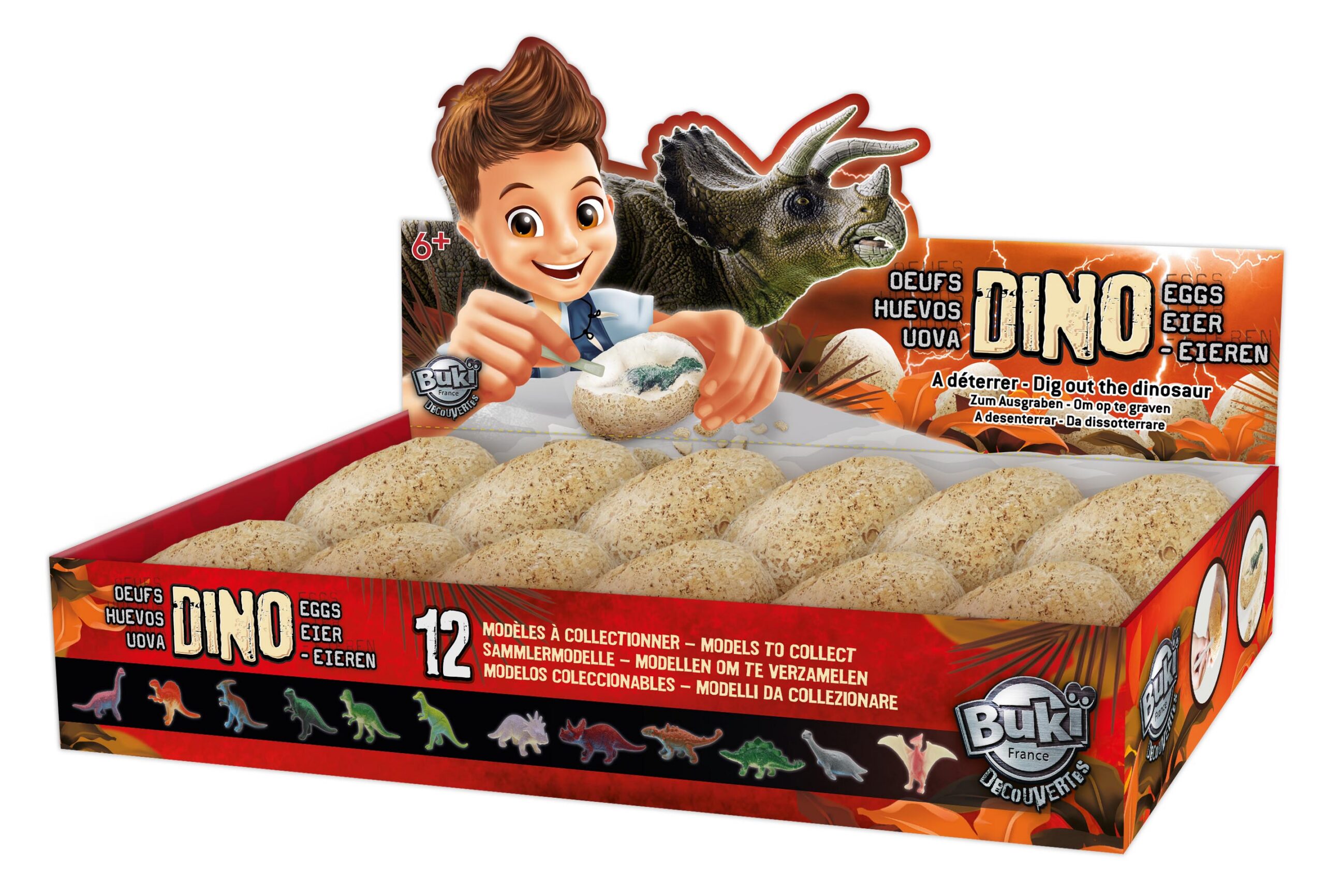 Buki Dinosauruse muna 1 Buki Dinosauruse muna