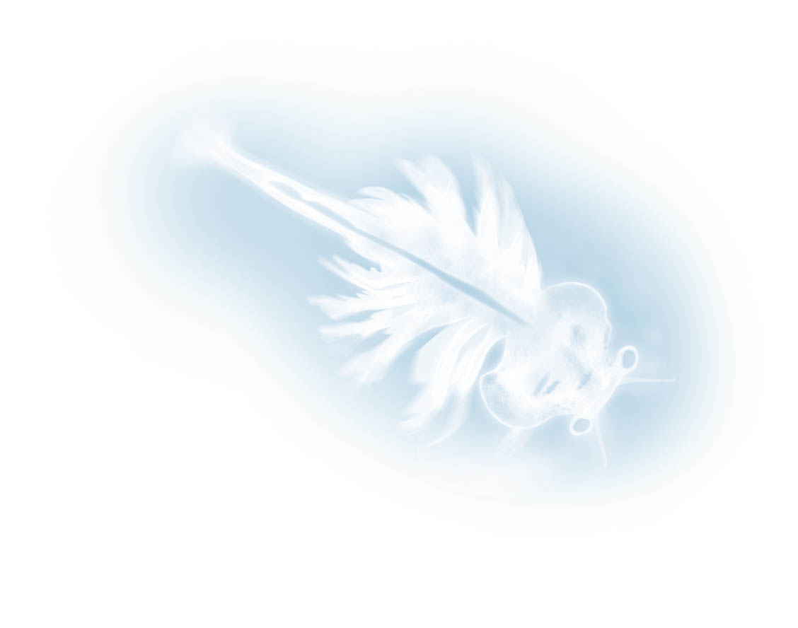 Buki Merekoletised 3 Buki Merekoletised - Image 3