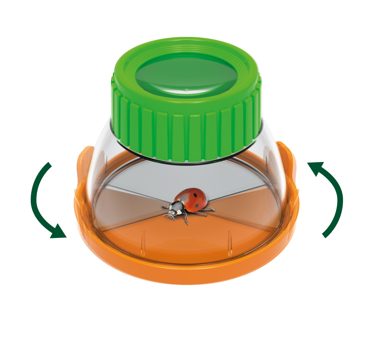 Buki Terraarium 3 Buki Terraarium - Image 3