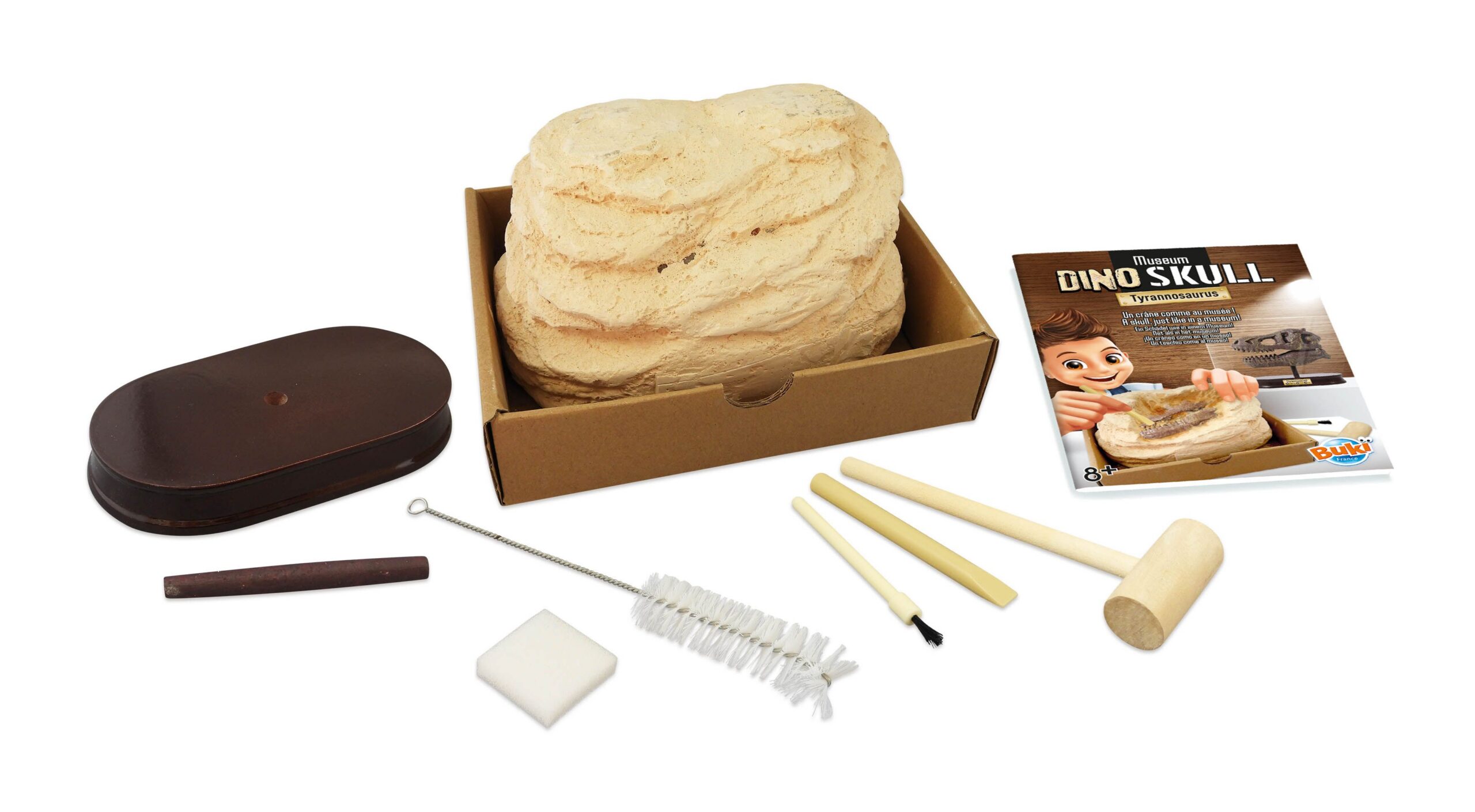 Buki Türannosauruse pealuu 2 Buki Türannosauruse pealuu - Image 2