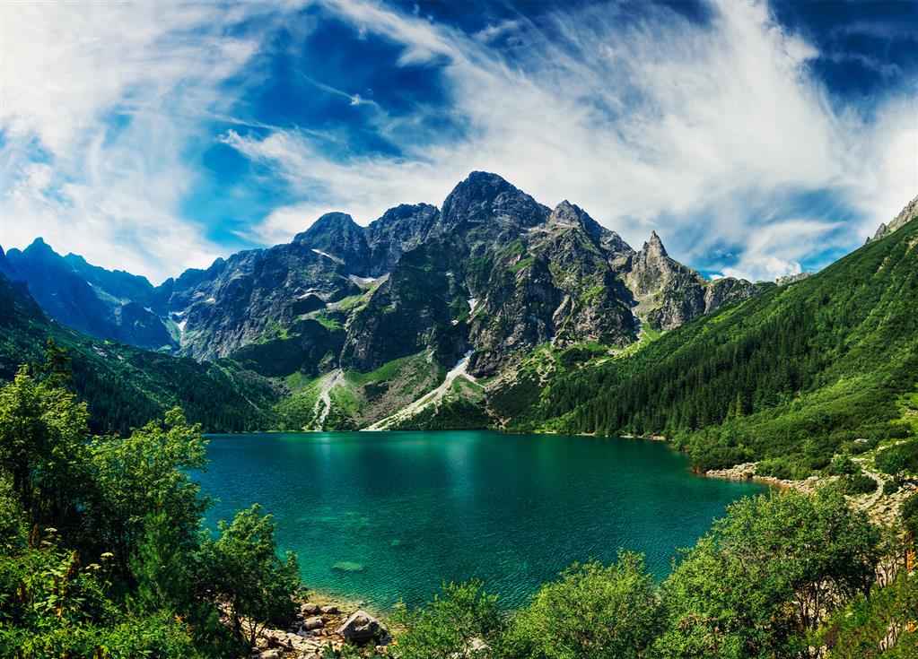 Dino pusle 3000 tk Meresilm Poolas 2 Dino pusle 3000 tk Meresilm Poolas - Image 2