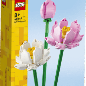 LEGO Lootoseõied