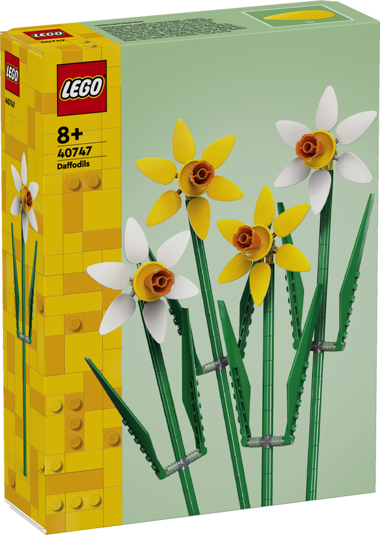 LEGO Nartsissid 1 LEGO Nartsissid