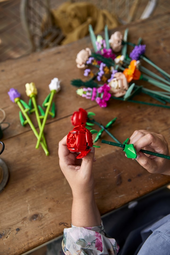 LEGO Roosid 3 LEGO Roosid - Image 3