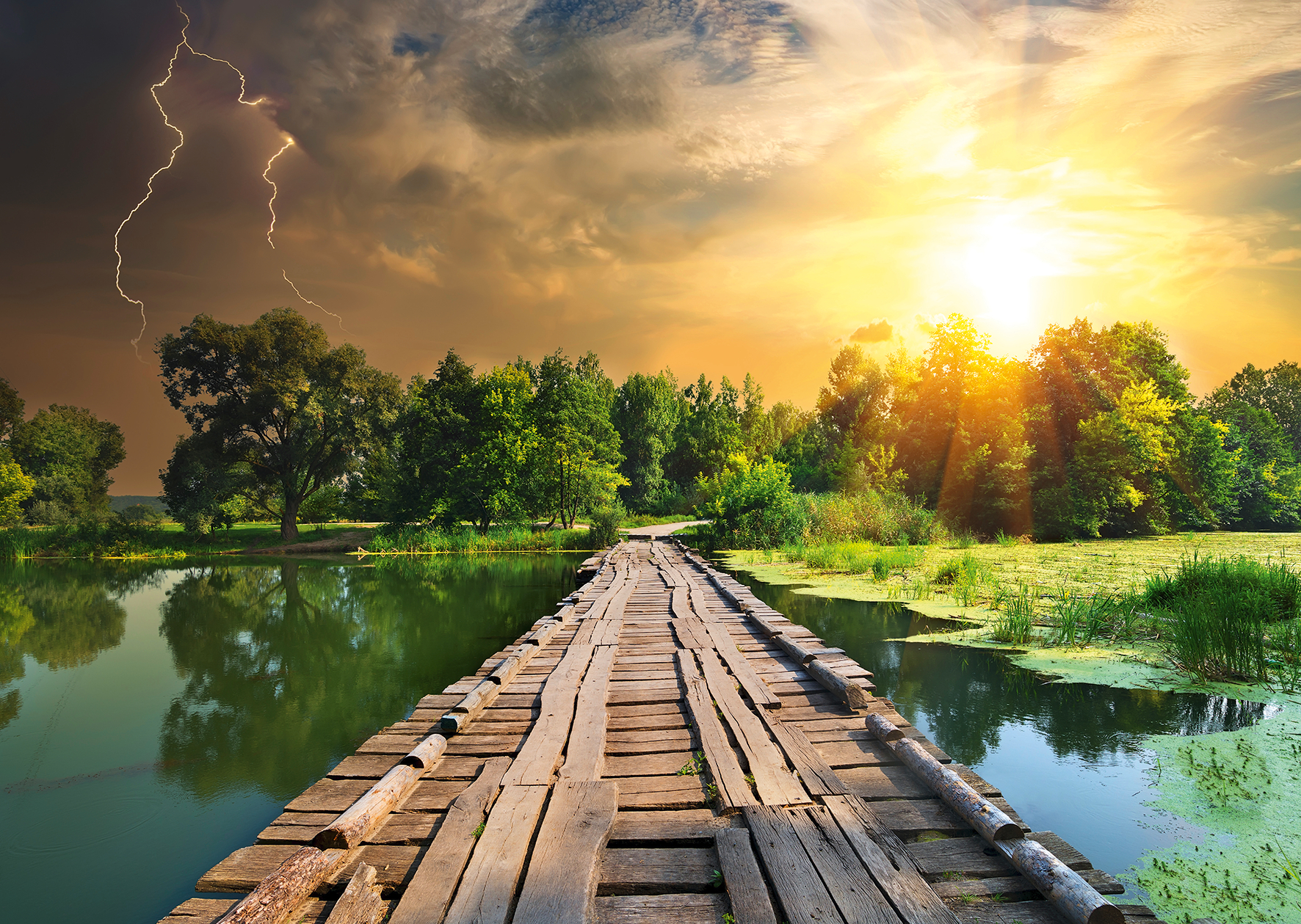 Ravensburger pusle 1000 tk: müstiline taevas 2 Ravensburger pusle 1000 tk: müstiline taevas - Image 2