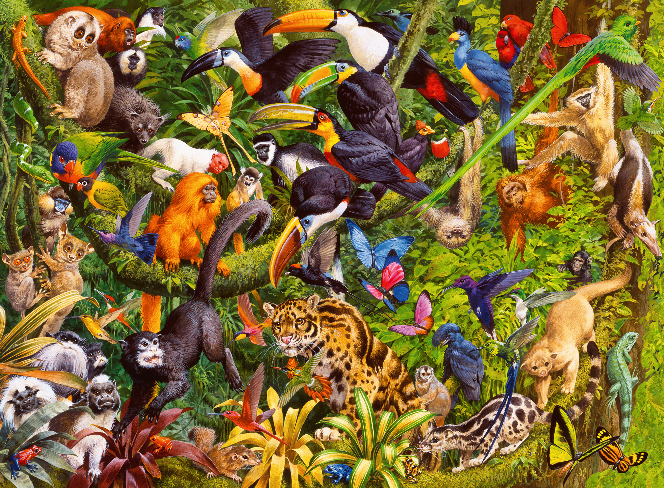 Ravensburger pusle 200 tk Troopiline vihmamets 2 Ravensburger pusle 200 tk Troopiline vihmamets - Image 2