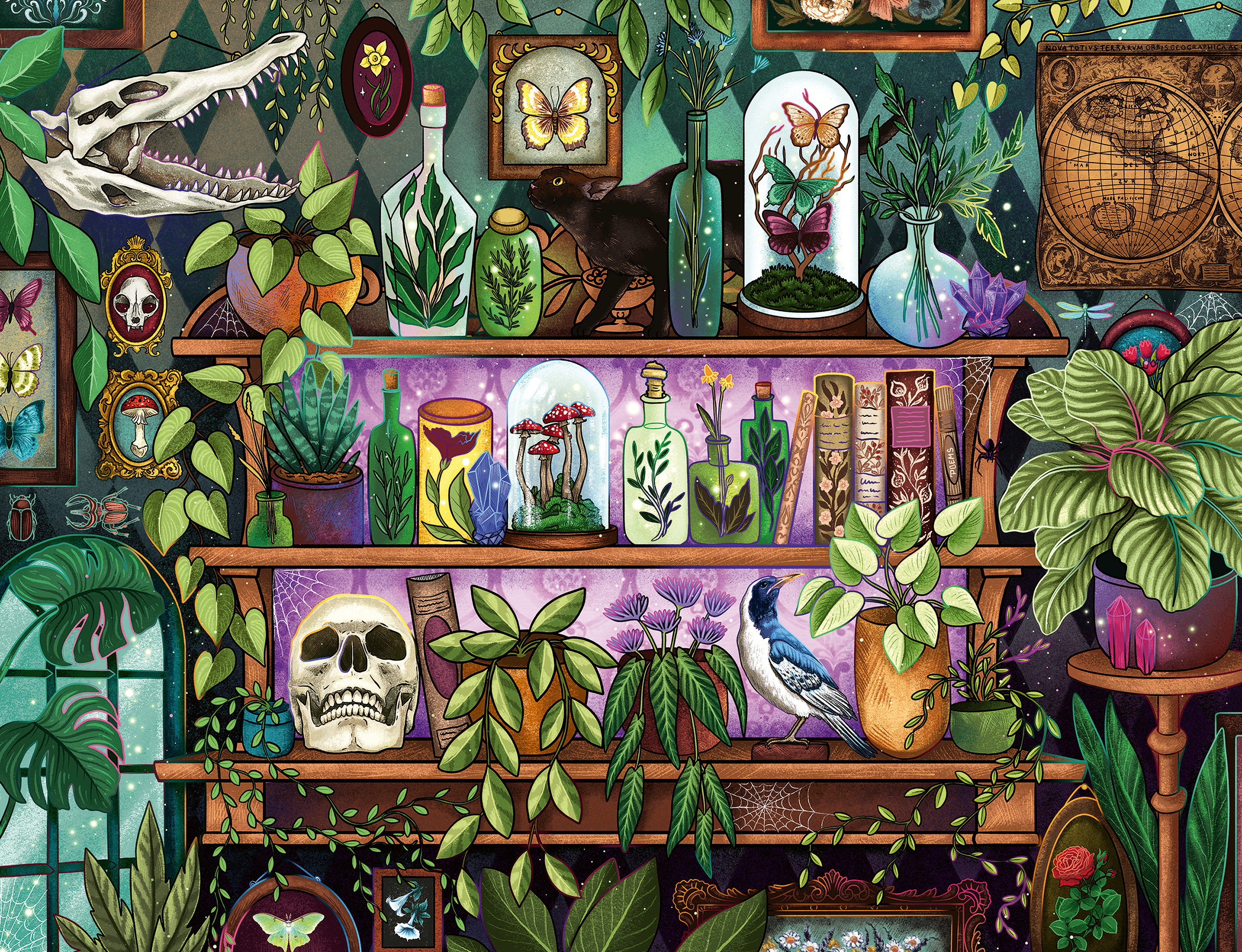 Ravensburger pusle 2000 tk Võluri riiul 2 Ravensburger pusle 2000 tk Võluri riiul - Image 2