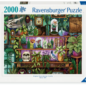 Ravensburger pusle 2000 tk Võluri riiul