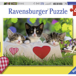 Ravensburger pusle 2x24 tk Kassid