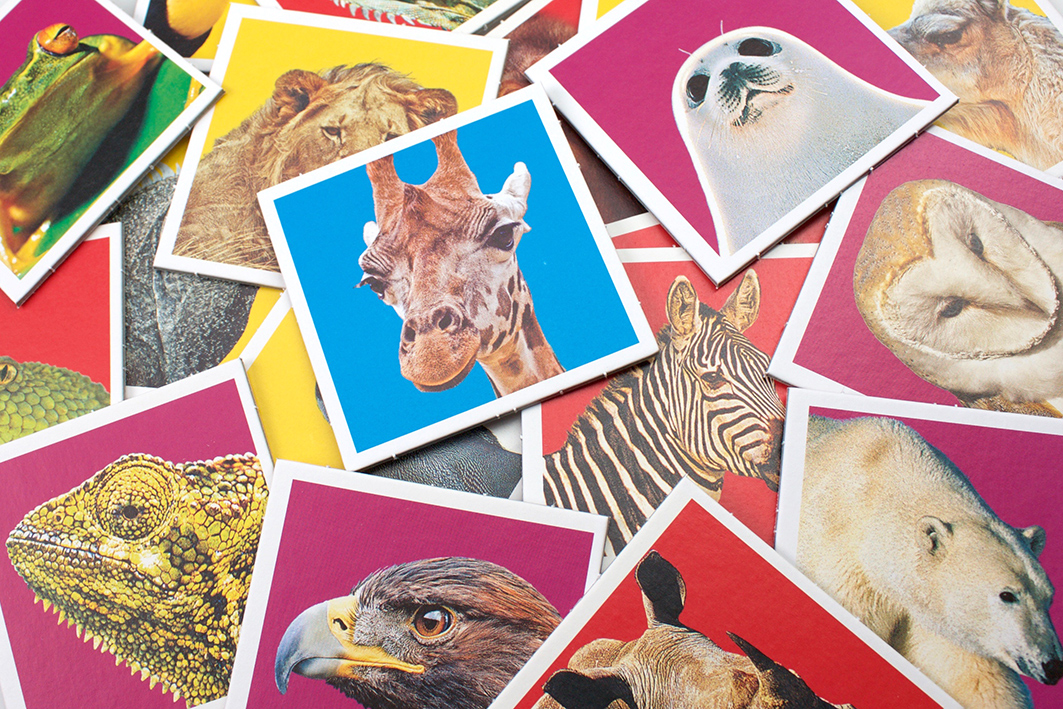 Tactic lauamäng Memo Metsloomad 2 Tactic lauamäng Memo Metsloomad - Image 2