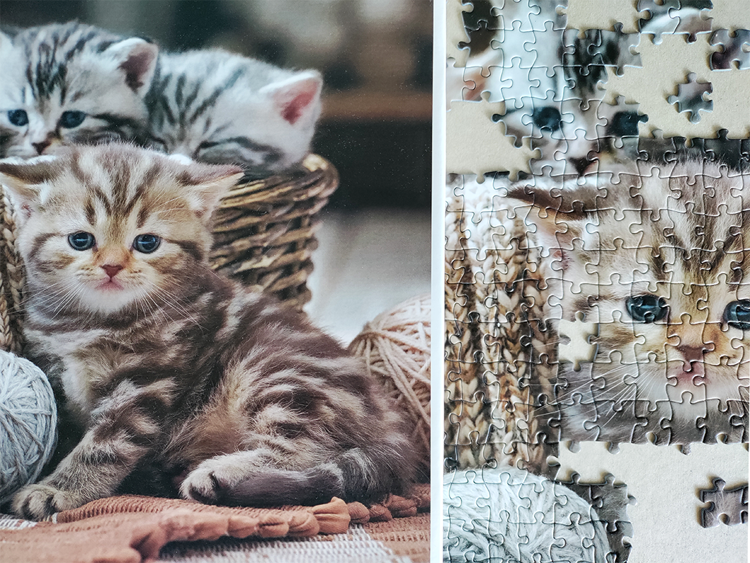 Tactic pusle 1000 tk Armsad kassipojad 2 Tactic pusle 1000 tk Armsad kassipojad - Image 2